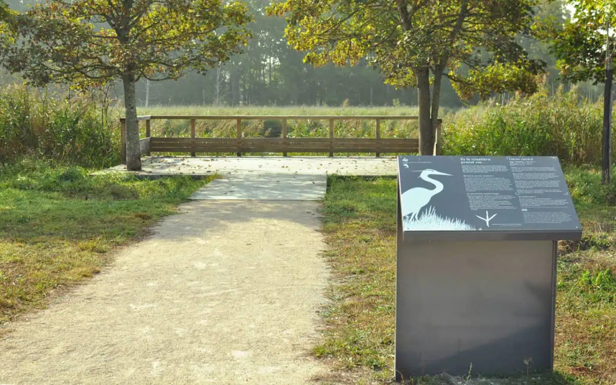 La Roselière du Grand Canal du Château de Chambord